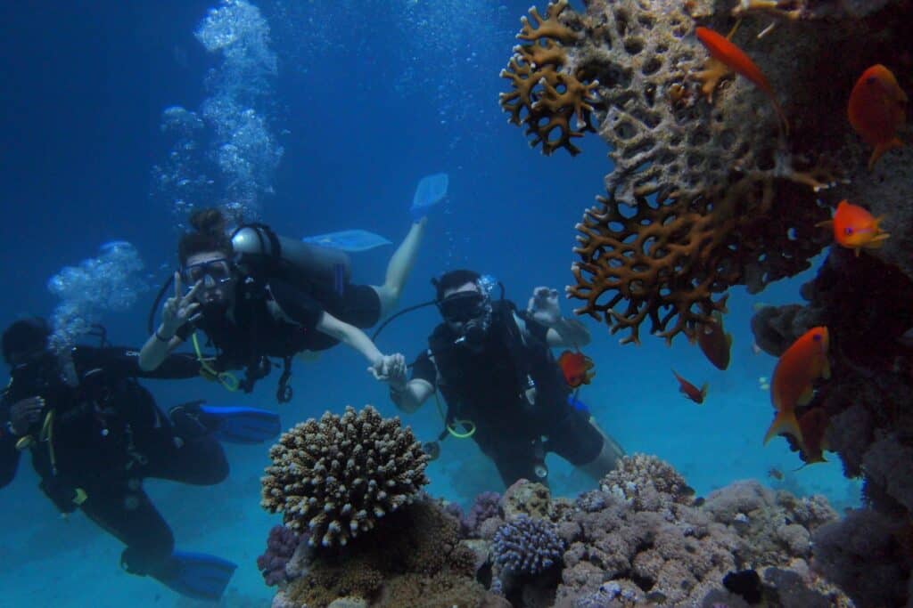 Cas Abao Beach: A Caribbean Paradise in Curacao
