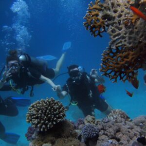 Enjoy Exciting Watersports at Cas Abo Beach in Curacao