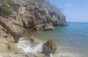 playa shon mosa