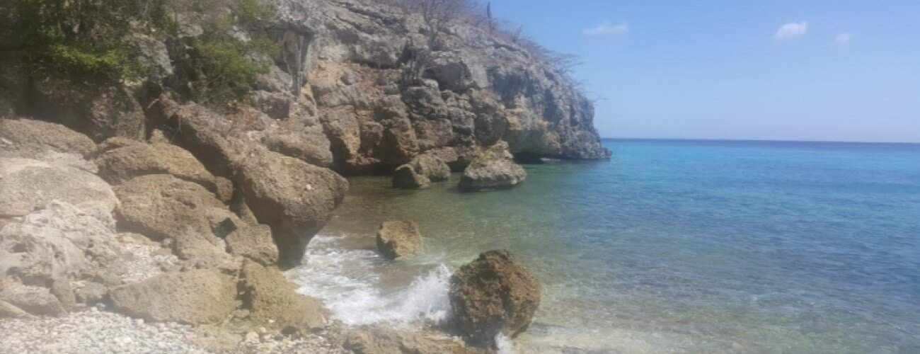 playa shon mosa