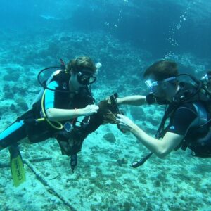 Experience Peak Performance Buoyancy at Bahia Dive Resort