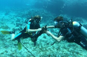 Experience Peak Performance Buoyancy at Bahia Dive Resort