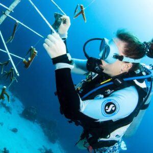Dive for a Purpose: Coral Restoration Specialty Course in Curaçao