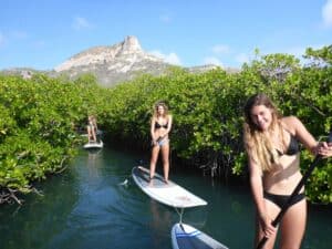 Ontdek de magie van CuraƧao met een Spaans Water Mangrove SUP Tour