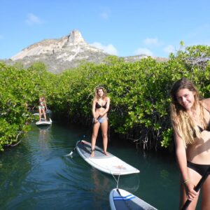 Discover the Magic of Curacao with a Spanish Water Mangrove SUP Tour