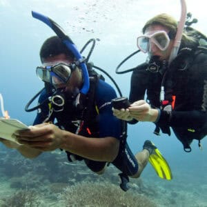 Master the Seas: Underwater Navigator Specialty Course in Curaçao