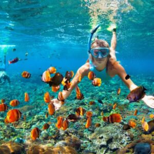 Explore the Underwater Wonders of Curaçao with an Unforgettable Snorkeling Adventure