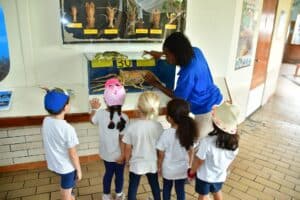 Ontdek mariene educatie in het CuraƧao Sea Aquarium