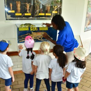 Explore Marine Education at Curaçao Sea Aquarium