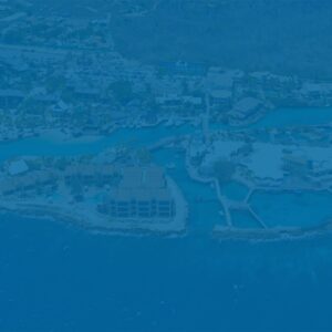 Dive into Adventure with the Animal Encounters Experience in Curaçao