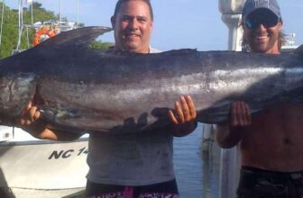 YKnot Fishing