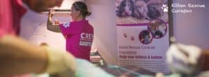Krcf Katten Cafe