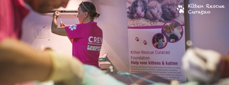 Krcf Katten Cafe