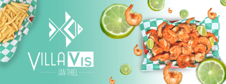 Villa Vis