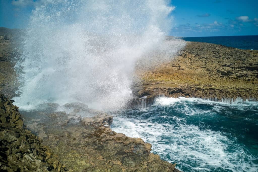 boka tabla curaçao