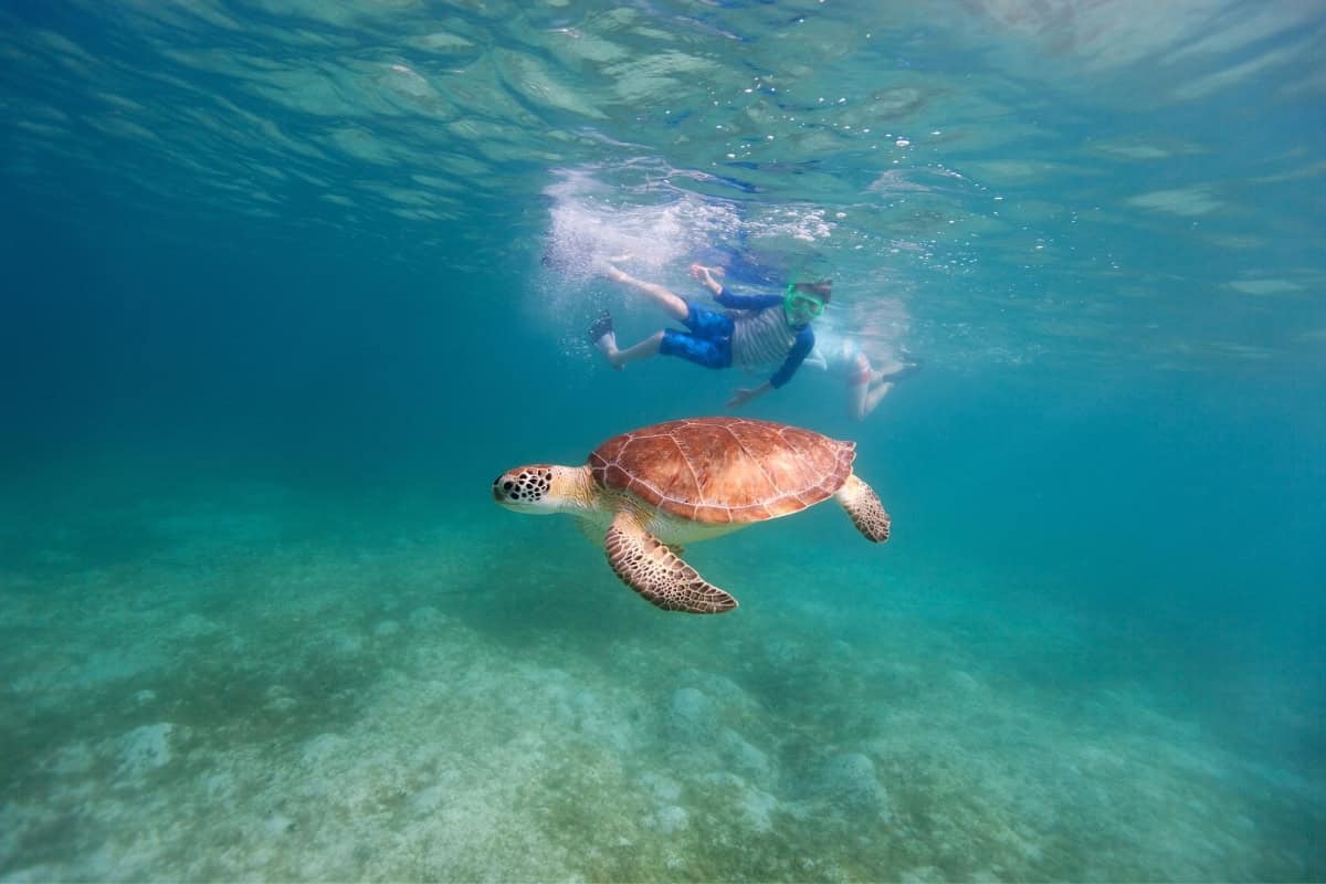 Snorkeling Curacao Beaches