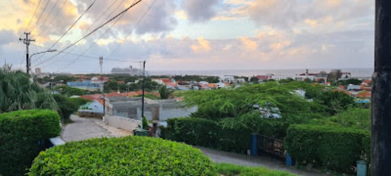CuraNice Rentals