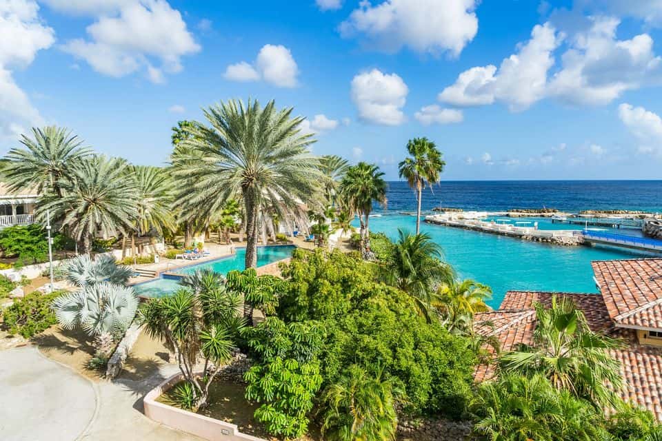 Ocean Resort Condos
