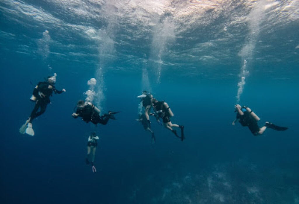 Unique Diving
