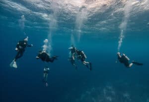 Unique Diving