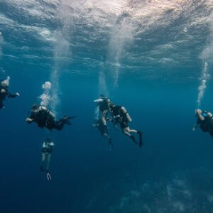 Unique Diving