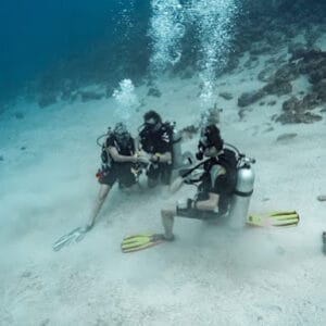Unique Diving
