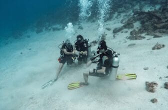 Unique Diving