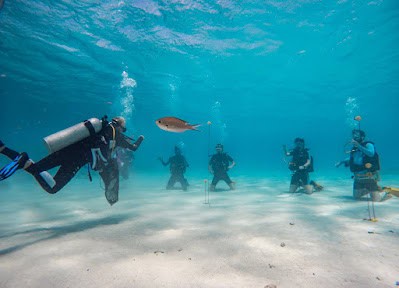 Unique Diving