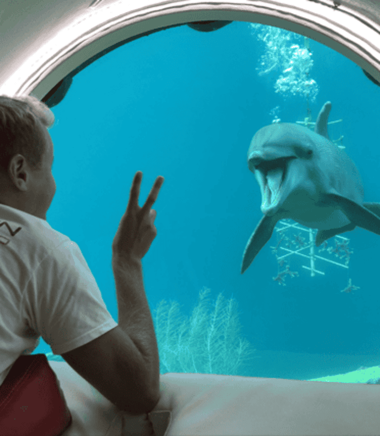 Animal Encounter