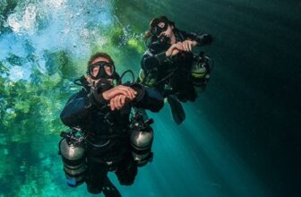 Goby Divers