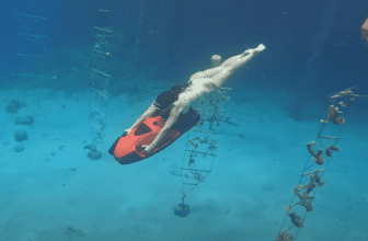 Sivaquatics