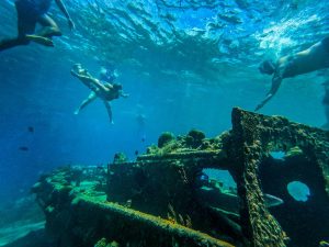 Experience a vibrant underwater world with BlueFinn Charters Snorkeling Trip, where youāll swim above sunken shipwrecks teeming with coral and fish in crystal-clear blue waters, illuminated by sunlight filtering through the surface.