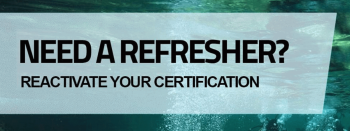 Curso PADI ReActivate en Curazao: ¡vuelve a sumergirte en la aventura!