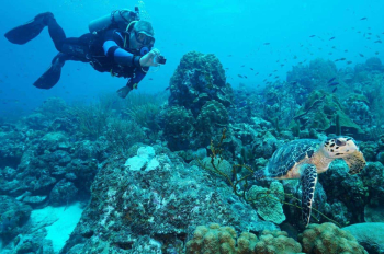 Dive into Adventure with Coral Divers: 1 Tank Guided Shore Dive House Reef