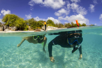 Ontdek de magie van de onderwaterwereld van Curaçao met de snorkeltrip van Jan Thiel Diving