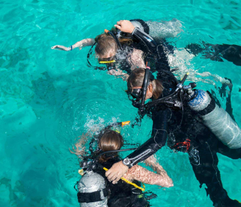 Discover Scuba Dive with Blue Bay Dive & Watersports in Curacao