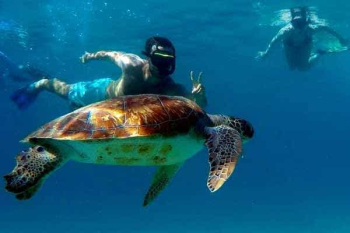 Explore Curaçao’s West Coast: A Thrilling Speedboat Adventure