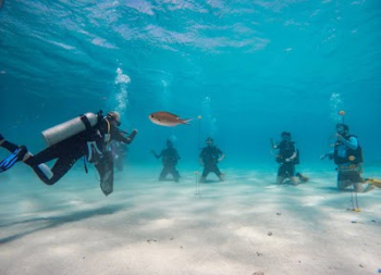 Dive Tours Curacao Siteseeing