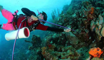 Experiencia de buceo con pez león en Curazao