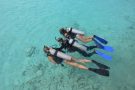 Coral Divers