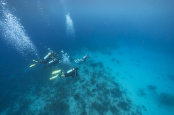 PADI Reddingsduiker Cursus in Curaçao