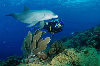6 días de buceo en barco de 2 tanques en Curazao con Ocean Encounters