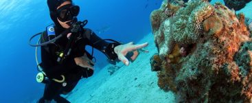 Goby Divers