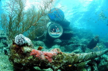 Explora el Ocean Lens – Tour Guiado en el Curaçao Sea Aquarium Park