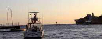 Big Game Fishing Trips