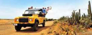 Buggy West Tour