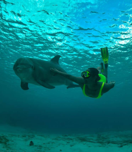 Programa Dolphin Assistant Trainer: Una Experiencia Única para Niños en Curazao