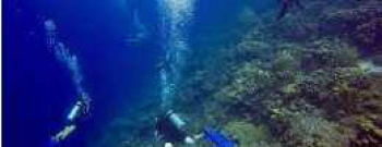 Eastpoint dive