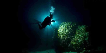 Experimente la emoción de una inmersión nocturna en barco con Ocean Encounters en Curazao