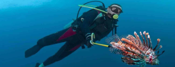 Guided dive Cas Abao house reef